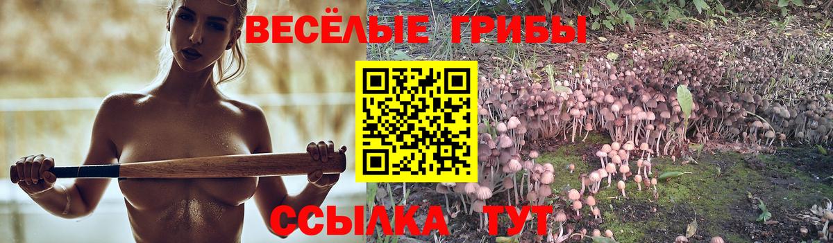 Галлюциногенные грибы Psilocybine cubensis  Галлюциногенные грибы Cubensis  что такое   Вход с VPN  Кемерово 